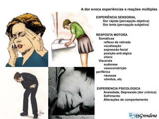 A dor evoca experiências e reações múltiplas 
Dor rápida (percepção objetiva) 
Dor lenta (percepção subjetiva) 
Grendene 
EXPERIÊNCIA SENSORIAL 
RESPOSTA MOTORA 
Somáticas 
reflexo de retirada 
vocalização 
expressão facial 
posição anti-algica 
choro 
Viscerais 
sudorese 
vasoconstriçâo 
periférica 
náuseas 
vômitos, etc 
EXPERIENCIA PSICOLOGICA 
Ansiedade, Depressão (dor crônica) 
Sofrimento 
Alterações de comportamento 
 