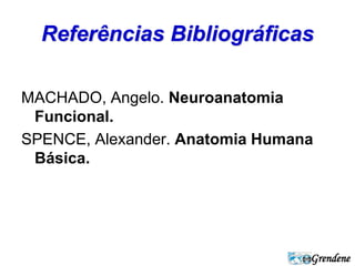 Referências Bibliográficas 
MACHADO, Angelo. Neuroanatomia 
Funcional. 
SPENCE, Alexander. Anatomia Humana 
Básica. 
Grendene 
