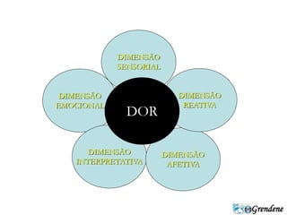 Grendene 
DIMENSÃO 
EMOCIONAL 
DIMENSÃO 
SENSORIAL 
DIMENSÃO 
INTERPRETATIVA 
DIMENSÃO 
REATIVA 
DIMENSÃO 
AFETIVA 
DOR 
 