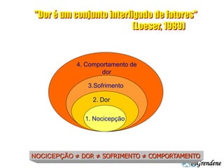 Grendene 
4. Comportamento de 
dor 
3.Sofrimento 
2. Dor 
1. Nocicepção 
NOCICEPÇÃO ≠ DOR ≠ SOFRIMENTO ≠ COMPORTAMENTO 
 