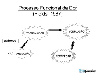 Grendene 
Processo Funcional da Dor 
(Fields, 1987) 
PERCEPÇÃO 
TRANSMISSÃO 
TRANSDUÇÃO 
MODULAÇÃO 
ESTÍMULO 
 