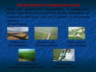 Організаційно-господарський методОрганізаційно-господарський метод
Метод має профілактичну спрямованість. У найкоротшому
викладі вони зводяться до наступних заходів, спрямованих на
створення несприятливих умов для поширення та розмноження
шкідників
Організацію
карантинної служби
Основні заходи:
Осушення або
зрошення земель
Окультурення
луків і пасовищ
Підбір спеціальної
рослинності на межах полів
Полезахисне
лісорозведення
 
