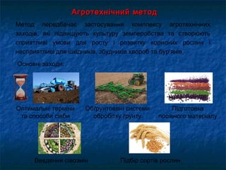 Агротехнічний методАгротехнічний метод
Метод передбачає застосування комплексу агротехнічних
заходів, які підвищують культуру землеробства та створюють
сприятливі умови для росту і розвитку корисних рослин і
несприятливі для шкідників, збудників хвороб та бур'янів.
Підбір сортів рослин
Основні заходи:
Обґрунтовані системи
обробітку ґрунту
Підготовка
посівного матеріалу
Введення сівозмін
Оптимальні терміни
та способи сівби
 