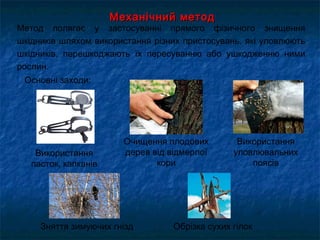 Механічний методМеханічний метод
Метод полягає у застосуванні прямого фізичного знищення
шкідників шляхом використання різних пристосувань, які уловлюють
шкідників, перешкоджають їх пересуванню або ушкодженню ними
рослин.
Обрізка сухих гілок
Основні заходи:
Очищення плодових
дерев від відмерлої
кори
Використання
уловлювальних
поясів
Зняття зимуючих гнізд
Використання
пасток, капканів
 