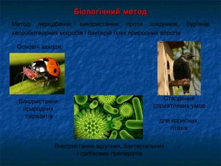 Біологічний методБіологічний метод
Метод передбачає використання проти шкідників, бур'янів,
хвороботворних мікробів і бактерій їхніх природних ворогів
Основні заходи:
Створення
сприятливих умов
для корисних
птахів
Використання вірусних, бактеріальних
і грибкових препаратів
Використання
природних
паразитів
 