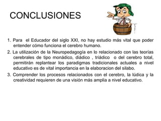CONCLUSIONES
1. Para el Educador del siglo XXI, no hay estudio más vital que poder
entender cómo funciona el cerebro humano.
2. La utilización de la Neuropedagogía en lo relacionado con las teorías
cerebrales de tipo monádico, diádico , triádico o del cerebro total,
permitirán replantear los paradigmas tradicionales actuales a nivel
educativo es de vital importancia en la elaboracion del silabo.
3. Comprender los procesos relacionados con el cerebro, la lúdica y la
creatividad requieren de una visión más amplia a nivel educativo.
 