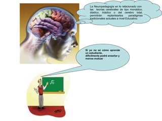 Si yo no sé cómo aprende
un estudiante,
difícilmente podré enseñar y
menos evaluar
La Neuropedagogía en lo relacionado con
las teorías cerebrales de tipo monádico,
diádico, triádico o del cerebro total,
permitirán replantearlos paradigmas
tradicionales actuales a nivel Educativo.
 