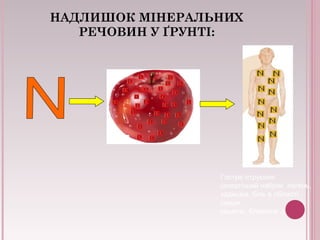 НАДЛИШОК МІНЕРАЛЬНИХ
РЕЧОВИН У ҐРУНТІ:
Гостре отруєння
(алергічний набряк легень,
задишка, біль в області
серця,
кашель, блювота .).
 