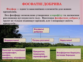 ФОСФАТНІ ДОБРИВА
Фосфор — один із важливіших елементів для живих
організмів.
Без фосфору неможливо утворення хлорофілу та засвоєння
рослинами вуглекислого газу. Внесення фосфатних добрив у
грунт не тільки підвищує врожай, але і покращує якість
продуктів…
Фосфатні
добрива
Водорозчинні Погано розчинні Нерозчинні
Фосфоритне борошно,
кісткове борошно
Преципітат,
томасшлак,
термофосфат
Простий та подвійний
суперфосфат,
амофос,
амофоска, нітрофоска
 