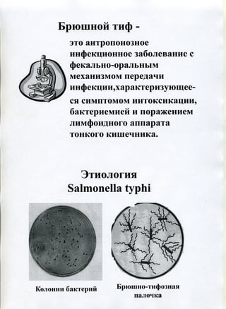 Брюшной тиф лихорадка. Брюшной тиф паратифы а и в презентация. Брюшной тиф тип лихорадки. Температурная кривая при брюшном тифе. Инфекционное заболевание брюшнй ти.