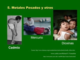5. Metales Pesados y otros5. Metales Pesados y otros
http://wwwcatsic.ucsc.edu/~eart80e/SpecTopics/itaiitai.html
www.corbis.com/Michael S. Yamashita
Fuente: http://www.chemsoc.org/exemplarchem/entries/jhardy/health_effects.htm
Cadmio
Dioxinas
Mercurio
 