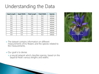  The dataset contains information on different
measurements of Iris flowers and the species related to
the measurements.
 Our goal is to devise:
 a neural network which classifies species, based on the
Sepal & Petal’s various lengths and widths.
 