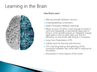 How Brains Learn:
 Altering strength between neurons
 Creating/deleting connections
 Hebb’s Postulate (Hebbian Learning)
 When an axon of cell A is near enough to excite a
cell B and repeatedly or persistently takes part in
firing it, some growth process or metabolic change
takes place in one or both cells such that A's
efficiency, as one of the cells firing B, is increased.
 Long Term Potentiation (LTP)
 Cellular basis for learning and memory
 LTP is the long-lasting strengthening of the
connection between two nerve cells in response to
stimulation
 Discovered in many regions of the cortex
 