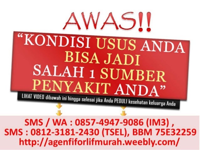 Agen Fiforlif Pandeglang 