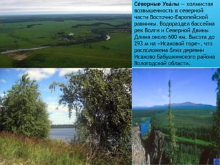 Северные Увалы́ ́  — холмистая
возвышенность в северной
части Восточно-Европейской
равнины. Водораздел бассейна
рек Волги и Северной Двины
Длина около 600 км. Высота до
293 м на «Исаковой горе», что
расположена близ деревни
Исаково Бабушкинского района
Вологодской области.
 