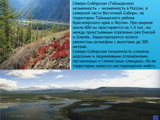 Северо-Сибирская (Таймырская)́ ́ ́
низменность — низменность в России, в́
северной части Восточной Сибири, на
территории Таймырского района
Красноярского края и Якутии. При ширине
около 600 км простирается на 1,4 тыс. км
между приустьевыми отрезками рек Енисей
и Оленёк. Характеризуется полого-
увалистым рельефом с высотами до 300
метров.
Северо-Сибирская низменность сложена
морскими и ледниковыми отложениями,
песчаниками и глинистыми сланцами. На ее
территории имеются месторождения нефти,
природного газа, каменного угля.
 