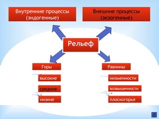 Рельеф
высокие
средние
низкие
Внешние процессы
(экзогенные)
Внутренние процессы
(эндогенные)
РавниныГоры
низменности
возвышенности
плоскогорья
 