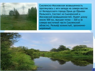 Смоленско-Московская возвышенность
протянулась с юго-запада на северо-восток
от белорусского города Орша до Юрьева-
Польского. Состоит из Смоленской и
Московской возвышенностей. Имеет длину
около 500 км, высшая точка — 320 м (в
северо-восточной части Смоленской
области). Рельеф холмистый, эрозионно-
моренный.
 