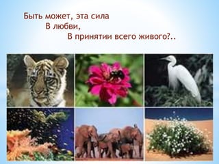 Быть может, эта сила
В любви,
В принятии всего живого?..
 