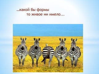 …какой бы формы
то живое ни имело...
 