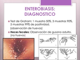 ENTEROBIASIS:
DIAGNOSTICO
 Test de Graham: 1 muestra 50%, 3 muestras 90%,
5 muestras 99% de positividad.
(observación de huevos)
 Heces fecales: Observación de gusano adulto.
(no huevos)
 