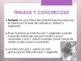TENIASIS Y CISTICERCOSIS
 Teniasis: es una infección intestinal provocada por
la Taenia en la fase de cisticerco. (solium y
saginata)
 El ser humano se infecta con T. saginata cuando
consume carne de vacuno cruda o poco
cocinada y con T. solium cuando come carne de
cerdo cruda o poco cocinada.
 La infección por T. solium es más
grave que la infección por T. saginata.
 