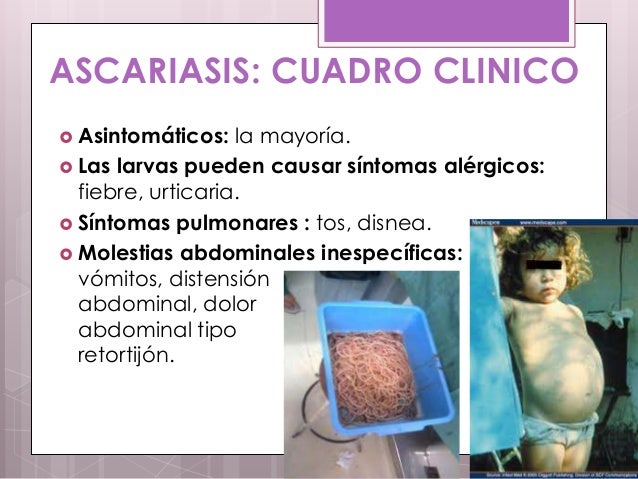 Dar la sangre a la presencia de los parásitos en invitro