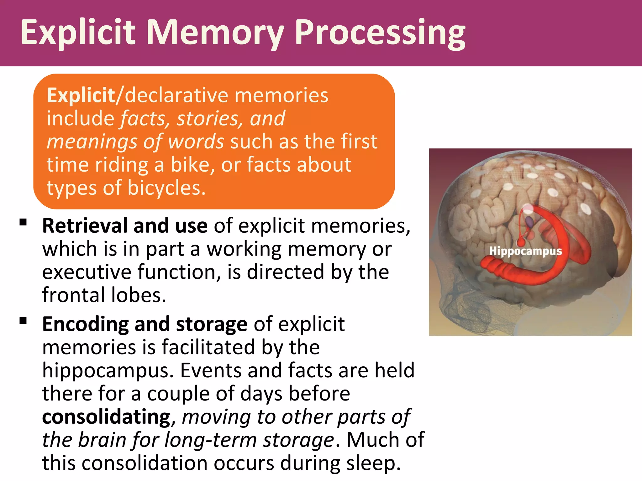 Explicit Memory Processing
 Retrieval and use of explicit memories,
which is in part a working memory or
executive function, is directed by the
frontal lobes.
 Encoding and storage of explicit
memories is facilitated by the
hippocampus. Events and facts are held
there for a couple of days before
consolidating, moving to other parts of
the brain for long-term storage. Much of
this consolidation occurs during sleep.
Explicit/declarative memories
include facts, stories, and
meanings of words such as the first
time riding a bike, or facts about
types of bicycles.
 