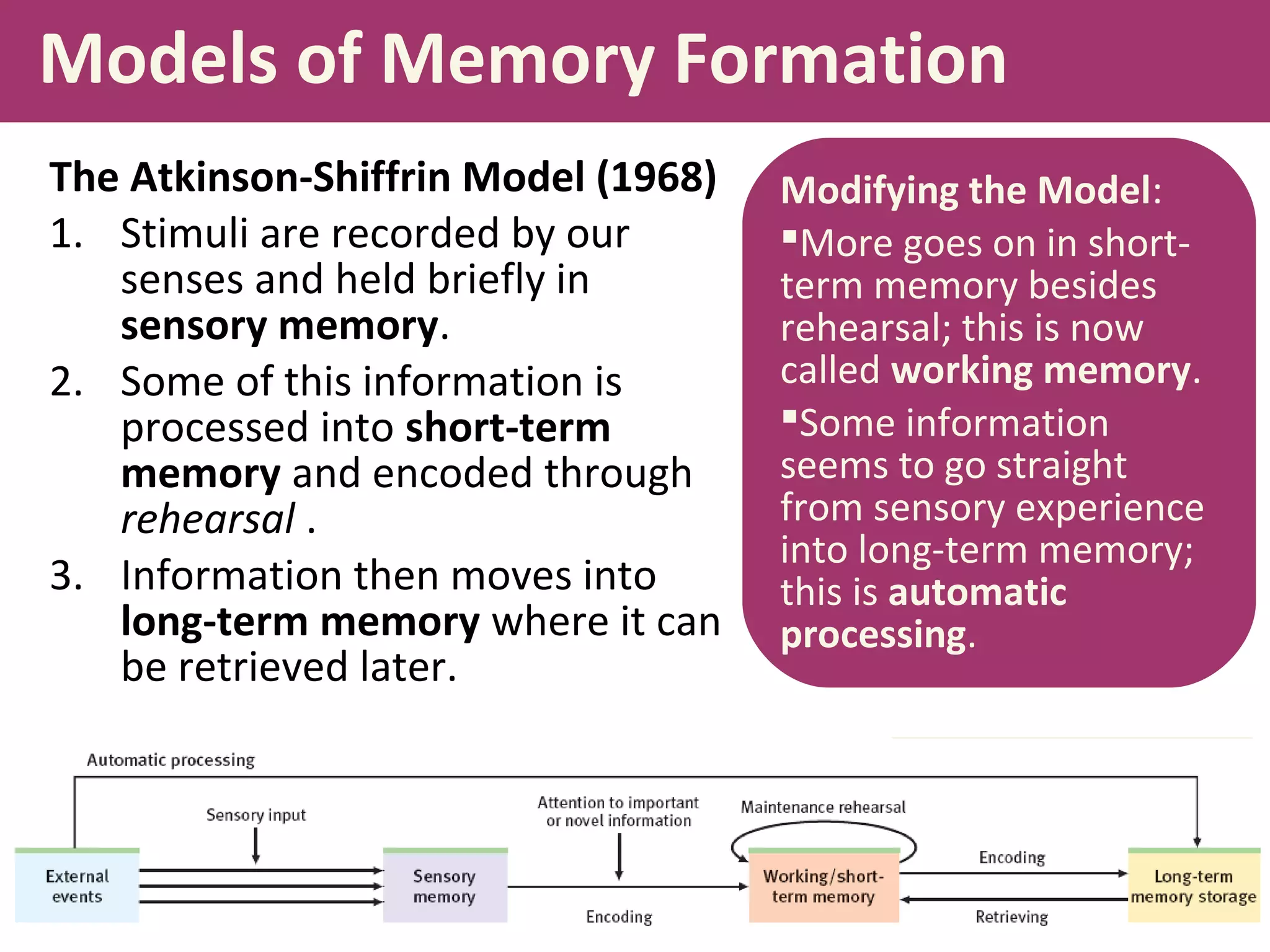 Models of Memory Formation
The Atkinson-Shiffrin Model (1968)
1. Stimuli are recorded by our
senses and held briefly in
sensory memory.
2. Some of this information is
processed into short-term
memory and encoded through
rehearsal .
3. Information then moves into
long-term memory where it can
be retrieved later.
Modifying the Model:
More goes on in short-
term memory besides
rehearsal; this is now
called working memory.
Some information
seems to go straight
from sensory experience
into long-term memory;
this is automatic
processing.
 
