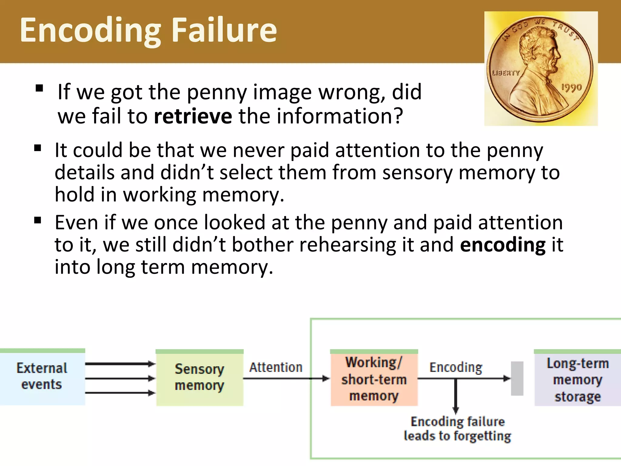  If we got the penny image wrong, did
we fail to retrieve the information?
Encoding Failure
 It could be that we never paid attention to the penny
details and didn’t select them from sensory memory to
hold in working memory.
 Even if we once looked at the penny and paid attention
to it, we still didn’t bother rehearsing it and encoding it
into long term memory.
 