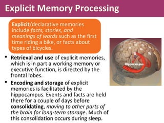 Explicit Memory Processing
 Retrieval and use of explicit memories,
which is in part a working memory or
executive function, is directed by the
frontal lobes.
 Encoding and storage of explicit
memories is facilitated by the
hippocampus. Events and facts are held
there for a couple of days before
consolidating, moving to other parts of
the brain for long-term storage. Much of
this consolidation occurs during sleep.
Explicit/declarative memories
include facts, stories, and
meanings of words such as the first
time riding a bike, or facts about
types of bicycles.
 