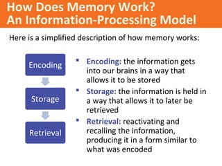 Encoding Memory Psychology