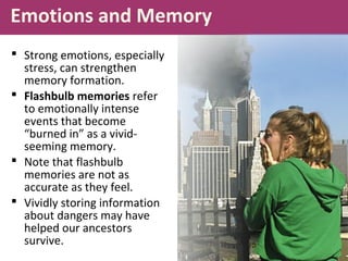 Emotions and Memory
 Strong emotions, especially
stress, can strengthen
memory formation.
 Flashbulb memories refer
to emotionally intense
events that become
“burned in” as a vivid-
seeming memory.
 Note that flashbulb
memories are not as
accurate as they feel.
 Vividly storing information
about dangers may have
helped our ancestors
survive.
 