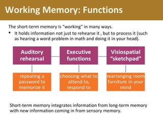 Working Memory: Functions
Short-term memory integrates information from long-term memory
with new information coming in from sensory memory.
The short-term memory is “working” in many ways.
 It holds information not just to rehearse it , but to process it (such
as hearing a word problem in math and doing it in your head).
 