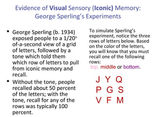 Evidence of Visual Sensory (Iconic) Memory:
George Sperling’s Experiments
 George Sperling (b. 1934)
exposed people to a 1/20th
of-a-second view of a grid
of letters, followed by a
tone which told them
which row of letters to pull
from iconic memory and
recall.
 Without the tone, people
recalled about 50 percent
of the letters; with the
tone, recall for any of the
rows was typically 100
percent.
J Y Q
P G S
V F M
To simulate Sperling’s
experiment, notice the three
rows of letters below. Based
on the color of the letters,
you will know that you must
recall one of the following
rows:
top, middle or bottom.
 