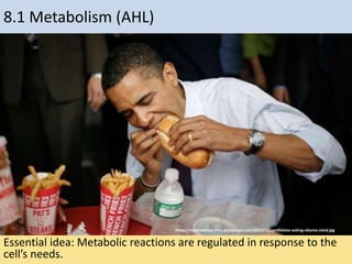 8.1 Metabolism (AHL)
Essential idea: Metabolic reactions are regulated in response to the
cell’s needs.
https://mediaeatout.files.wordpress.com/2013/11/candidates-eating-obama-sized.jpg
 