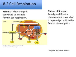 8.2 Cell Respiration
Essential Idea: Energy is
converted to a usable
form in cell respiration.
Nature of Science:
Paradigm shift—the
chemiosmotic theory led
to a paradigm shift in the
field of bioenergetics.
http://www.phschool.com/science/biology_place/bi
ocoach/images/cellresp/Overview.gif
Compiled By Darren Aherne
 