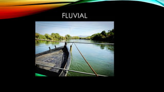 FLUVIAL
 