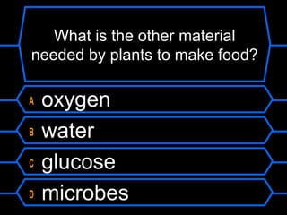 What is the other material
needed by plants to make food?
A oxygen
B water
C glucose
D microbes
 