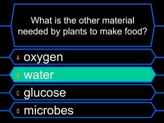 What is the other material
needed by plants to make food?
A oxygen
B water
C glucose
D microbes
 