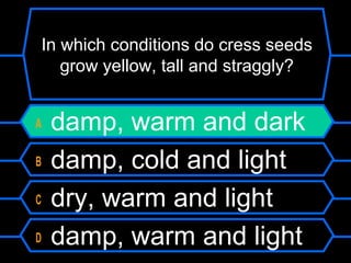 In which conditions do cress seeds
grow yellow, tall and straggly?
A damp, warm and dark
B damp, cold and light
C dry, warm and light
D damp, warm and light
 