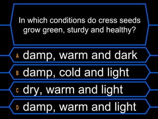 In which conditions do cress seeds
grow green, sturdy and healthy?
A damp, warm and dark
B damp, cold and light
C dry, warm and light
D damp, warm and light
 
