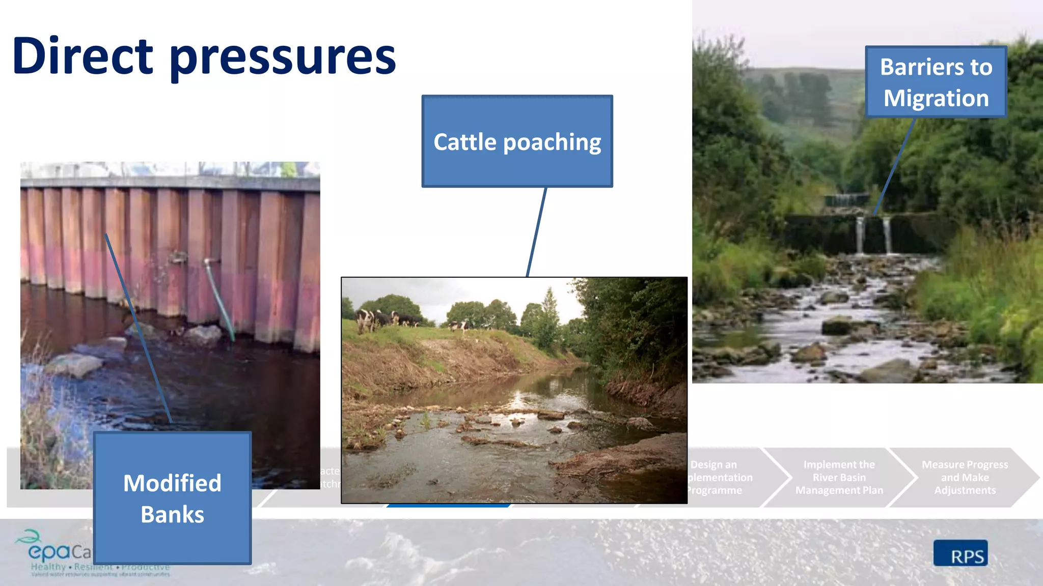 Build Partnership
Create an ICM
Vision
Characterise the
Catchment
Undertake further
characterisation
Identify &
Evaluate Possible
Management
Strategies
Design an
Implementation
Programme
Implement the
River Basin
Management Plan
Measure Progress
and Make
Adjustments
Direct pressures
Modified
Banks
Cattle poaching
Barriers to
Migration
 