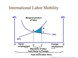 © Baldwin&Wyplosz The Economics of European Integration
L2
International Labor Mobility
MPL
MPL MPL*
MPL*
Home
employment
O Foreign
employment
O*
A
B
C
L1
Migration of labor
from Home to Foreign
Total world labor force
Marginal product
of labor
 