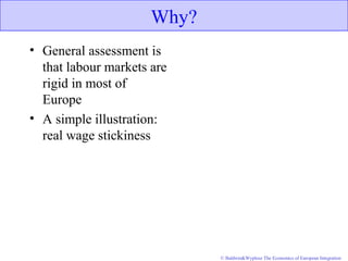 © Baldwin&Wyplosz The Economics of European Integration
Why?
• General assessment is
that labour markets are
rigid in most of
Europe
• A simple illustration:
real wage stickiness
 