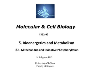 Molecular & Cell Biology
S. Rahgozar,PhD
University of Isfahan
Faculty of Science
5. Bioenergetics and Metabolism
5.1. Mitochondria and Oxidative Phosphorylation
93-1392
 