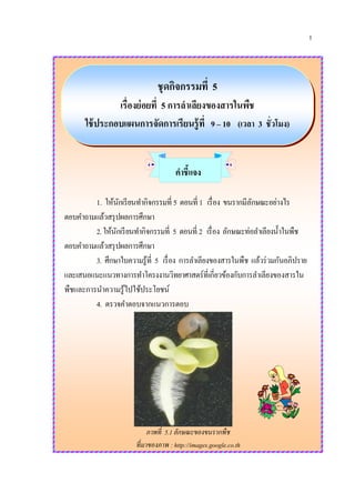 1
ชุดกิจกรรมที่ 5
เรื่องย่อยที่ 5 การลาเลียงของสารในพืช
ใช้ประกอบแผนการจัดการเรียนรู้ที่ 9 – 10 (เวลา 3 ชั่วโมง)
คาชี้แจง
1. ให้นักเรียนทากิจกรรมที่ 5 ตอนที่ 1 เรื่อง ขนรากมีลักษณะอย่างไร
ตอบคาถามแล้วสรุปผลการศึกษา
2.ให้นักเรียนทากิจกรรมที่ 5 ตอนที่ 2 เรื่อง ลักษณะท่อลาเลียงน้าในพืช
ตอบคาถามแล้วสรุปผลการศึกษา
3. ศึกษาใบความรู้ที่ 5 เรื่อง การลาเลียงของสารในพืช แล้วร่วมกันอภิปราย
และเสนอแนะแนวทางการทาโครงงานวิทยาศาสตร์ที่เกี่ยวข้องกับการลาเลียงของสารใน
พืชและการนาความรู้ไปใช้ประโยชน์
4. ตรวจคาตอบจากแนวการตอบ
ภาพที่ 5.1 ลักษณะของขนรากพืช
ที่มาของภาพ : http://images.google.co.th
 