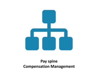 Pay spine
Compensation Management
 
