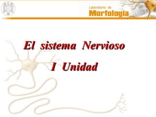 El sistema NerviosoEl sistema Nervioso
I UnidadI Unidad
 