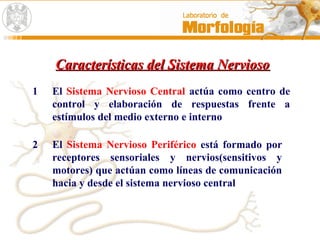 Características del Sistema NerviosoCaracterísticas del Sistema Nervioso
1 El Sistema Nervioso Central actúa como centro de
control y elaboración de respuestas frente a
estímulos del medio externo e interno
2 El Sistema Nervioso Periférico está formado por
receptores sensoriales y nervios(sensitivos y
motores) que actúan como líneas de comunicación
hacia y desde el sistema nervioso central
 